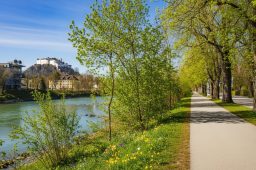 Salzach.jpg